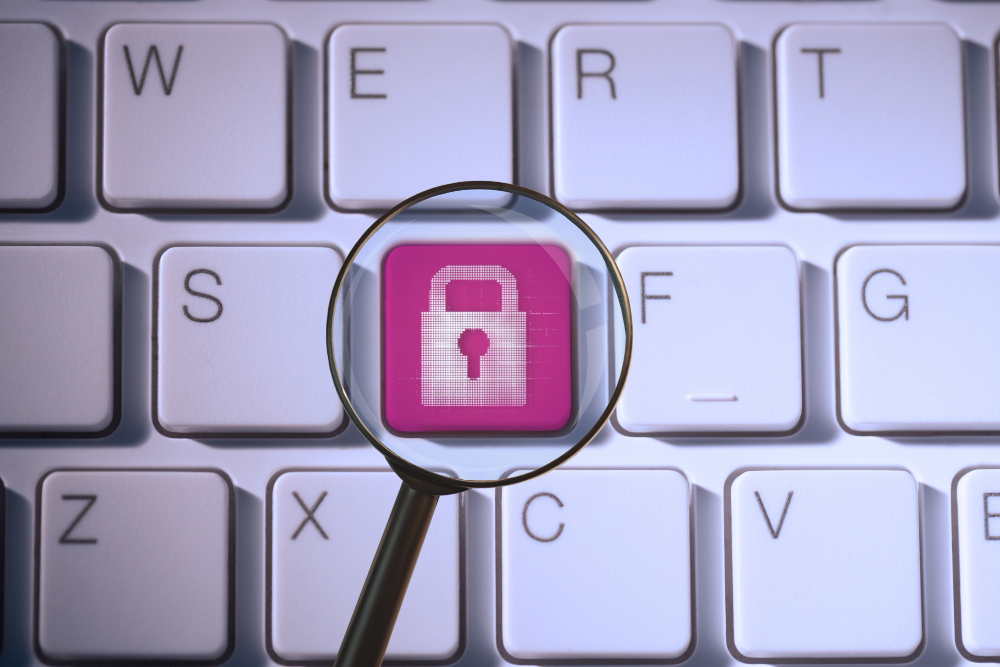 Privacidade de Domínio